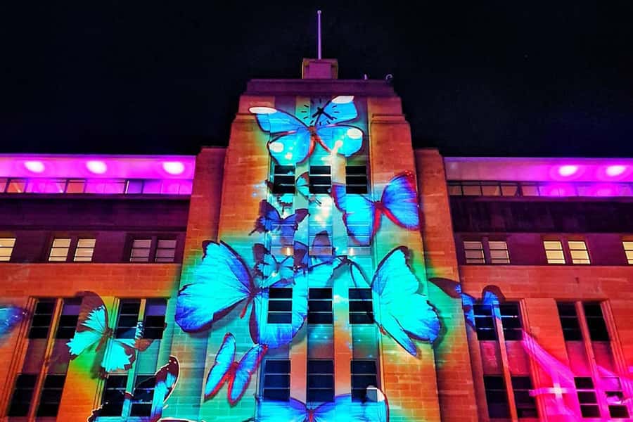 Sydney: Intimate Vivid Harbour Cruise with Canapes - Timing tips that make the difference between good and great