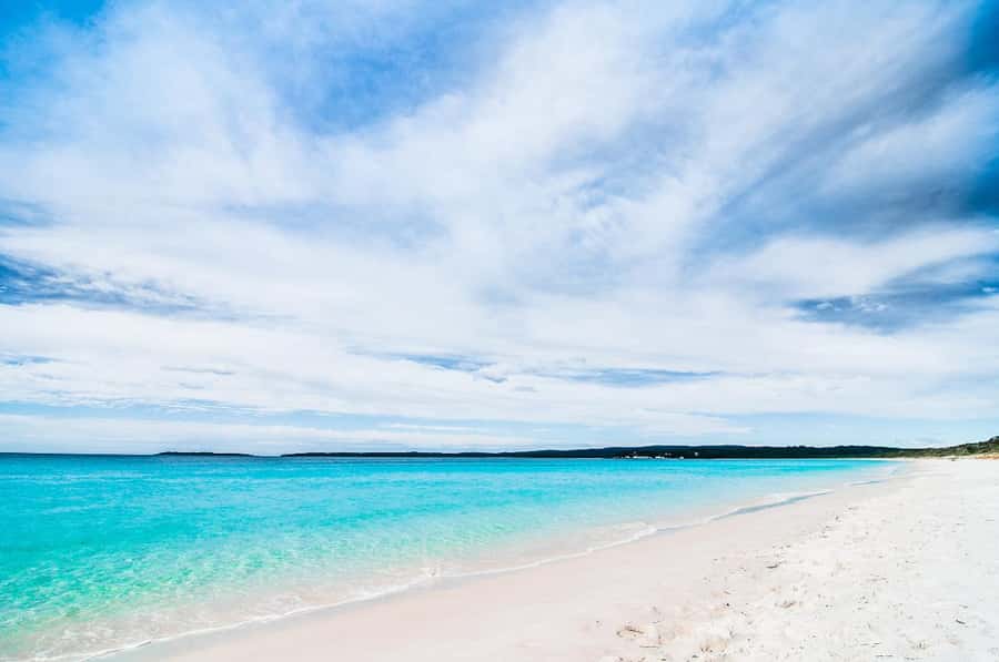 Sydney: Jervis Bay Day Trip with Dolphins, Roos & Beach Time - How the White Sands Trail Fits In (and Who It Works Best for)
