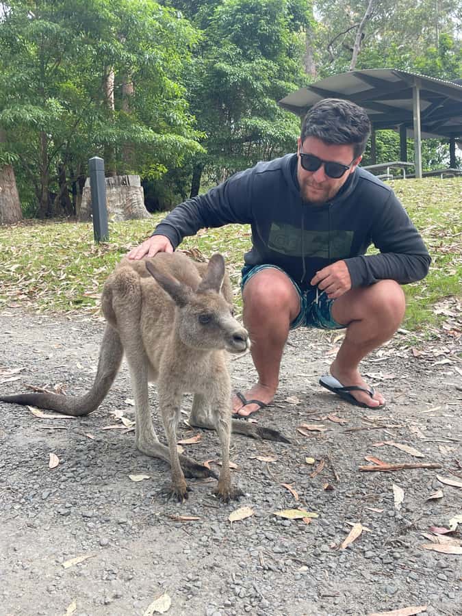 Sydney: Jervis Bay Day Trip with Dolphins, Roos & Beach Time - Small-Group Size and Bilingual Guides: Why 20 People Is the Sweet Spot