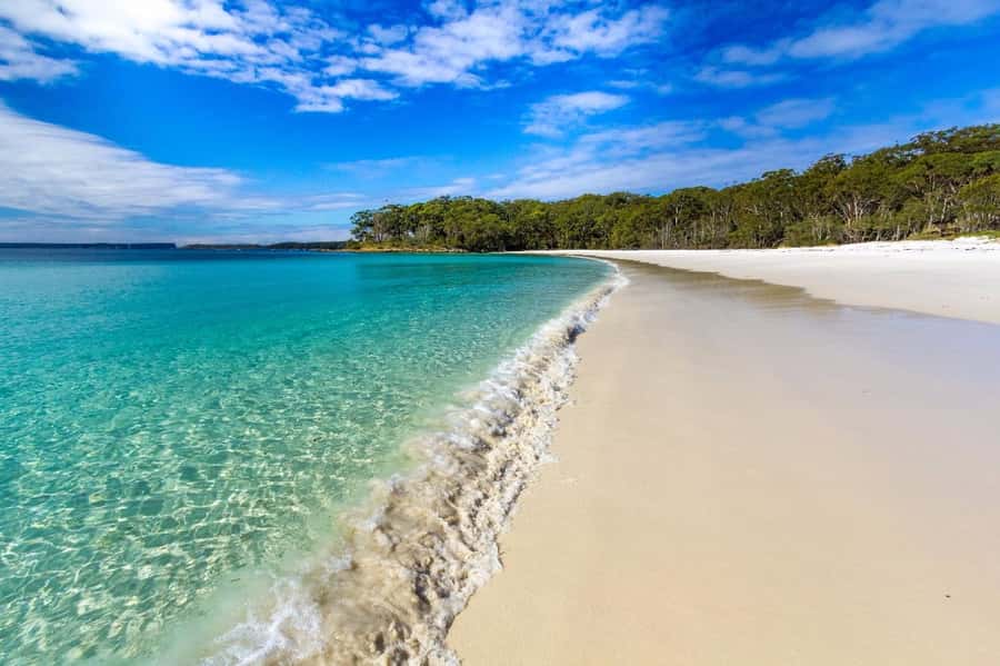 Sydney: Jervis Bay Day Trip with Dolphins, Roos & Beach Time - Timing, Weather, and Dolphin Realities