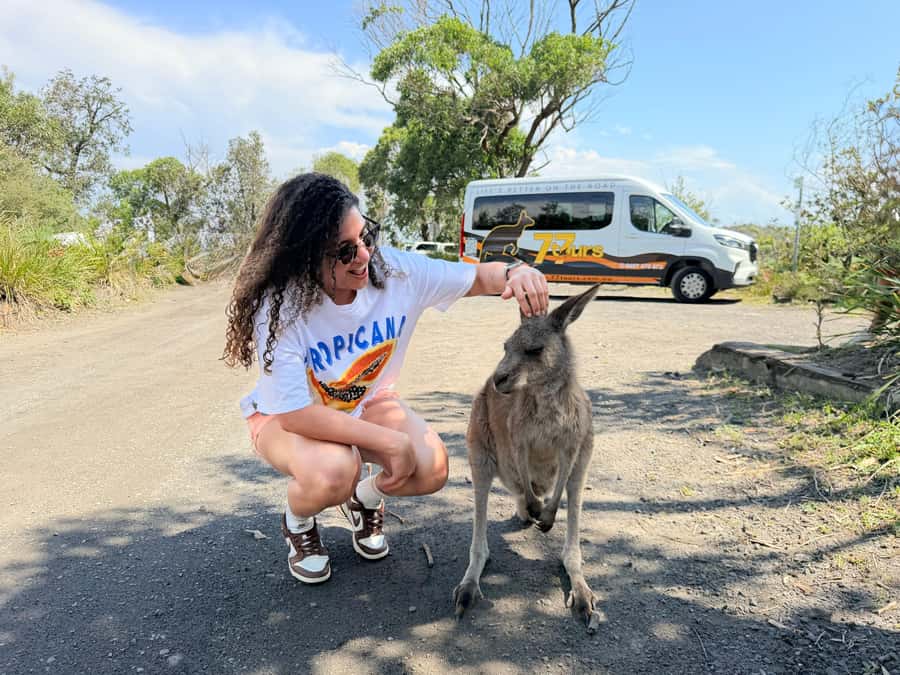 Sydney: Jervis Bay & South Coast Small Group - Why this day trip feels less like a chore and more like a good plan