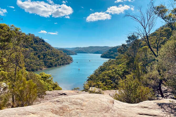 Sydney: Ku-ring-gai Chase National Park with Hike, Swim, Picnic - Key highlights worth planning around