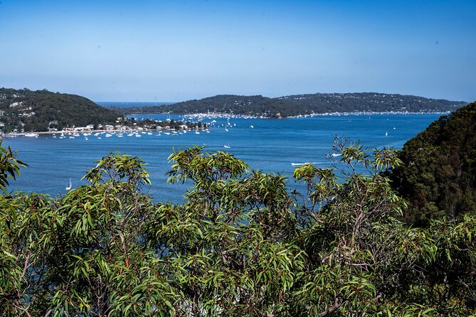 Sydney: Ku-ring-gai Chase National Park with Hike, Swim, Picnic - America Bay Lookout: the short walk that earns big river-and-water views