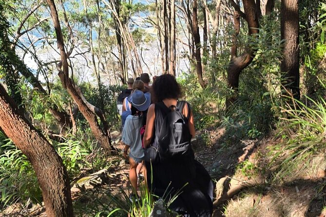 Sydney: Ku-ring-gai Chase National Park with Hike, Swim, Picnic - Guide style and group size: what the max 6 travelers really changes