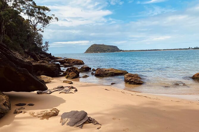 Sydney: Ku-ring-gai Chase National Park with Hike, Swim, Picnic - The pacing: 8 hours that balance hiking, water time, and a proper lunch