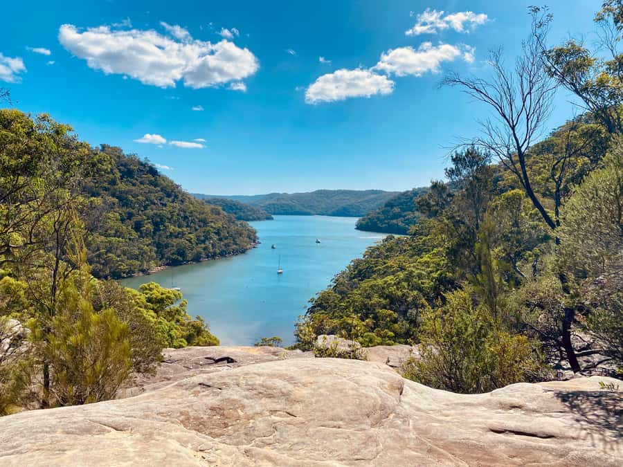Sydney: Ku-ring-gai National Park with swim and picnic - Why Ku-ring-gai Chase Feels Like a Real Escape From Sydney