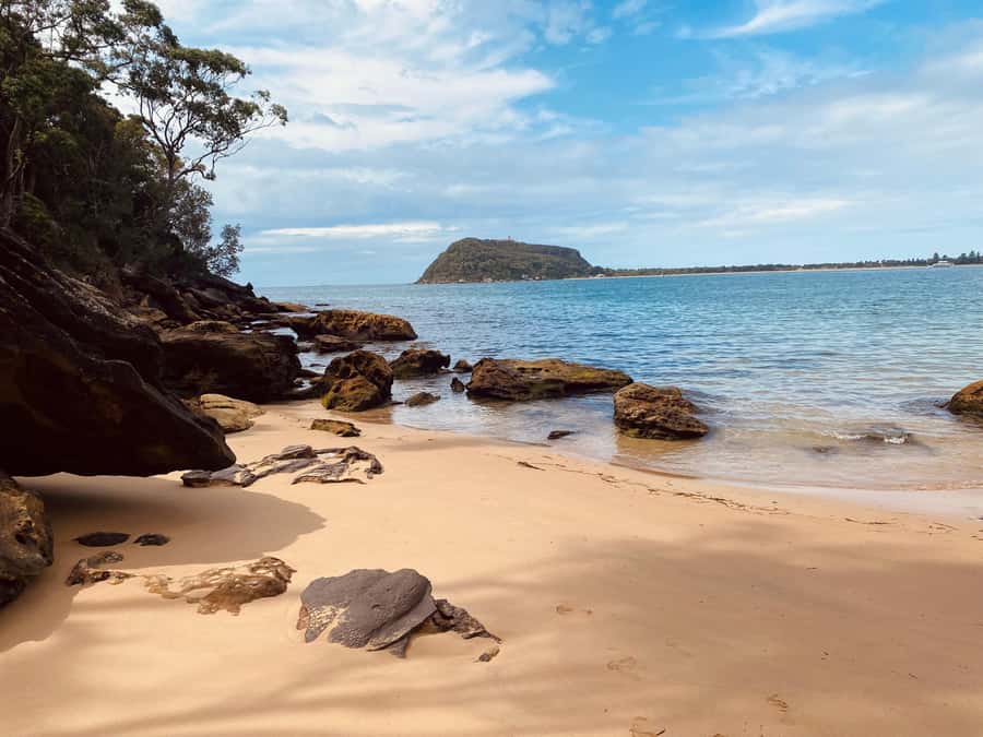 Sydney: Ku-ring-gai National Park with swim and picnic - West Head Lookout: Your First Big Fix of Pittwater Views