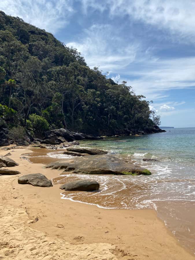 Sydney: Ku-ring-gai National Park with swim and picnic - Guided Walk and Aboriginal Rock Engravings That Feel Built-In