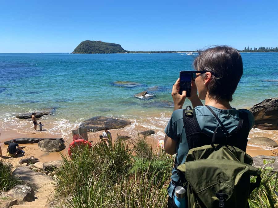 Sydney: Ku-ring-gai National Park with swim and picnic - Picnic on the Coast: Local Cheeses, Dips, Olives, Fruit, and Kombucha