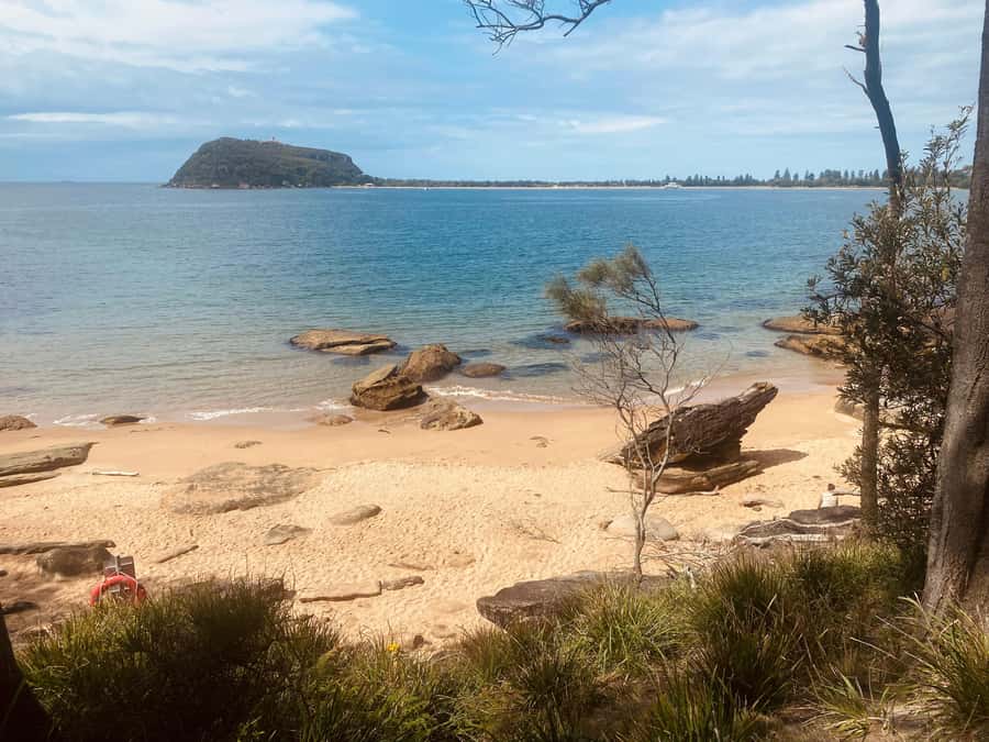 Sydney: Ku-ring-gai National Park with swim and picnic - The Swim and Hidden Beach Moment (And the Smart Weather Plan)