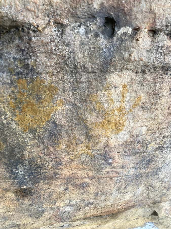 Sydney: Ku-ring-gai National Park with swim and picnic - Mooney Mooney: A Food Tasting Stop That Breaks Up the Route