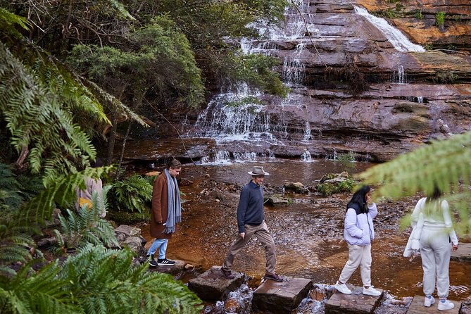 Sydney: Luxury Blue Mountains Adventure as a Small Group Day Tour - Key things to know before you go