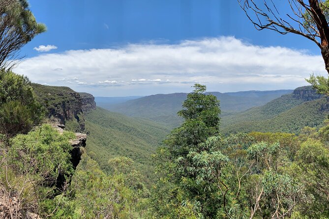 Sydney: Luxury Blue Mountains Adventure as a Small Group Day Tour - How the day feels in real life: timing, pacing, and small-group flexibility