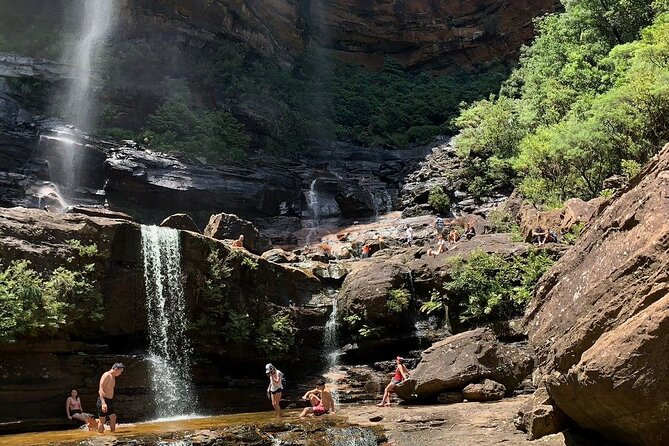 Sydney: Luxury Blue Mountains Adventure as a Small Group Day Tour - Featherdale Sydney Wildlife Park: start with koalas and close-up wildlife