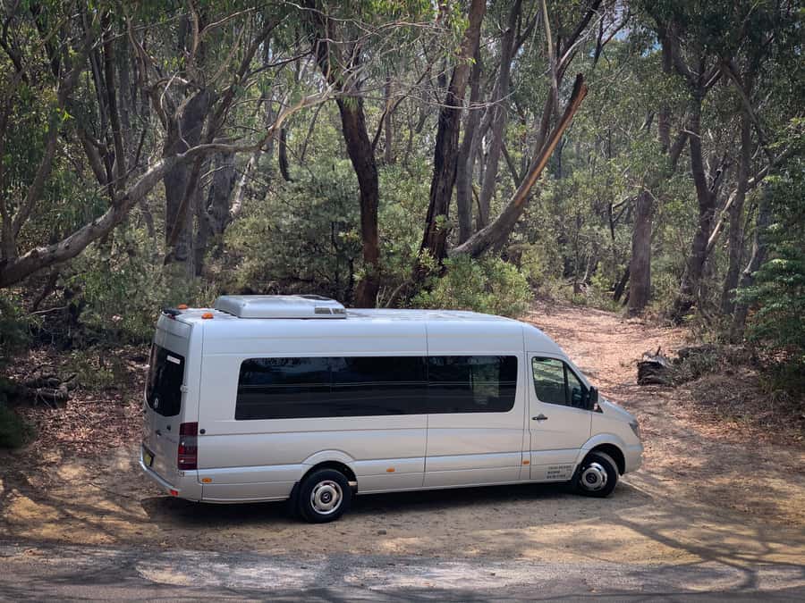 Sydney: Luxury Blue Mountains Adventure with Wentworth Falls - Who should book this tour, and who should skip it
