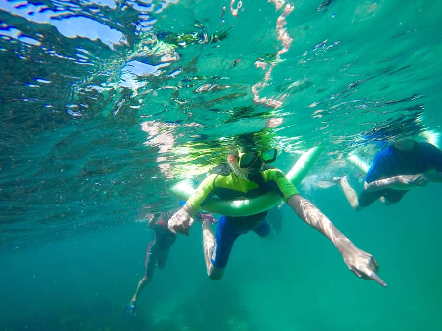 Sydney: Manly and Shelly Beach Snorkeling Tour - Key things you’ll really notice