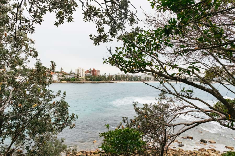 Sydney: Manly and Shelly Beach Snorkeling Tour - Underwater ID with a local guide: what you’ll learn, and how it stays fun
