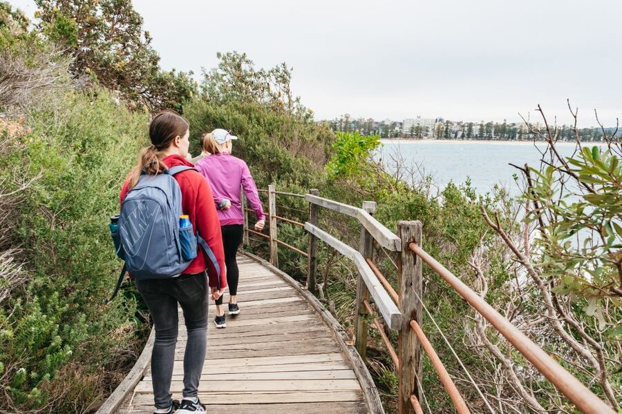Sydney: Manly and Shelly Beach Snorkeling Tour - Price and logistics at $77: the value math that actually matters