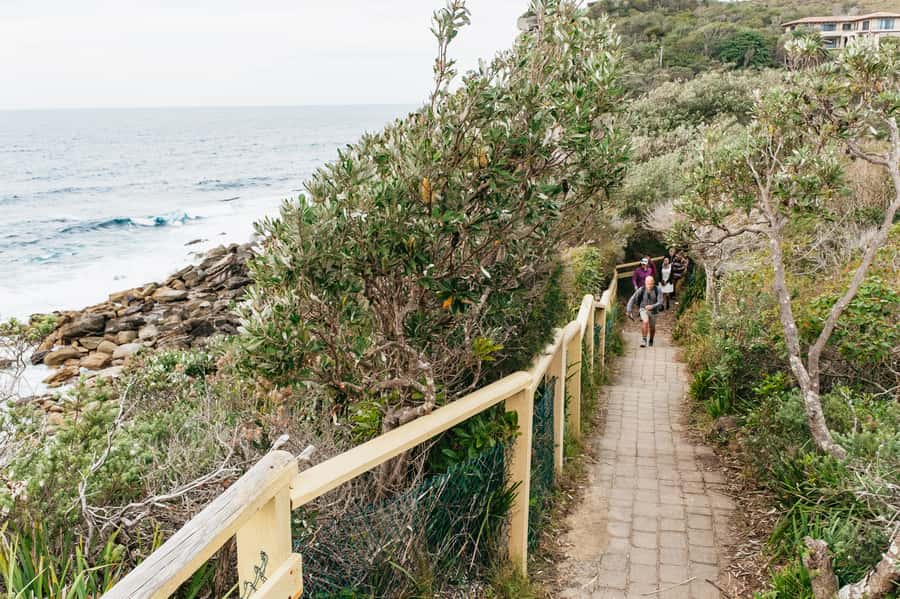 Sydney: Manly and Shelly Beach Snorkeling Tour - Should you book this Manly snorkeling tour?