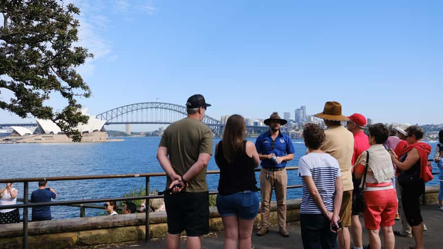 Sydney: Morning Sightseeing Bus to Bondi with Lunch Cruise - What’s included, what’s not, and what you should plan around
