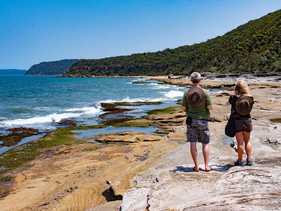 Sydney: Nature and Wildlife - Australia in One Day - Koalas and Kangaroos Up Close: The Wildlife Stop That Changes the Day
