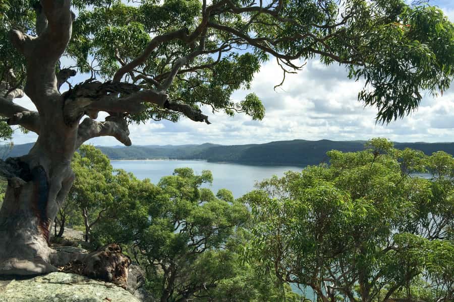Sydney: Northern Beaches and Ku-ring-gai National Park Tour - Key points at a glance