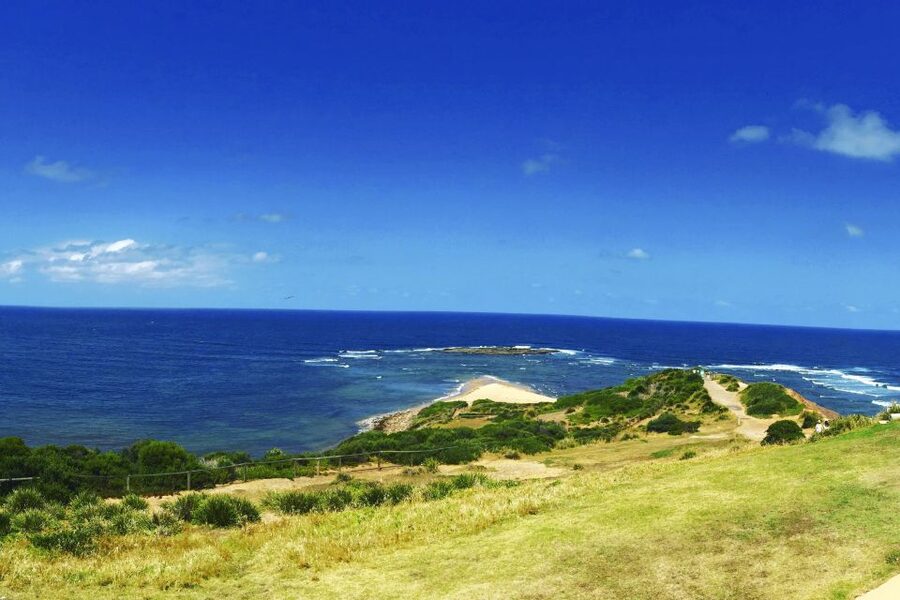 Sydney: Northern Beaches and Ku-ring-gai National Park Tour - Value for $300: what you’re paying for (and what to plan for)