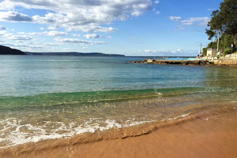 Sydney: Northern Beaches and Ku-ring-gai National Park Tour - Northern Beaches + Ku-ring-gai: the Sydney day trip most people miss