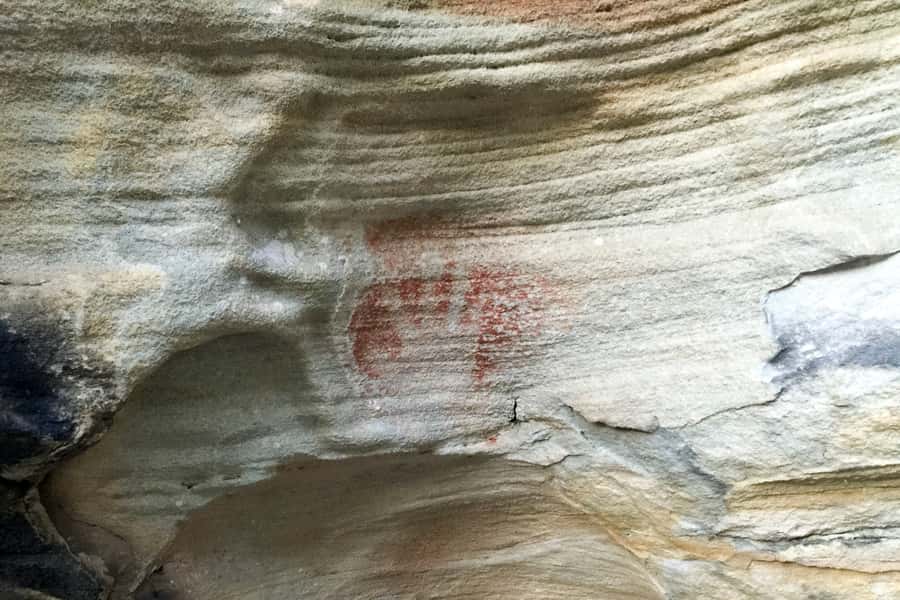 Sydney: Northern Beaches and Ku-ring-gai National Park Tour - Long Reef Headland and Narrabeen: surf viewpoints and whale-spotting moments