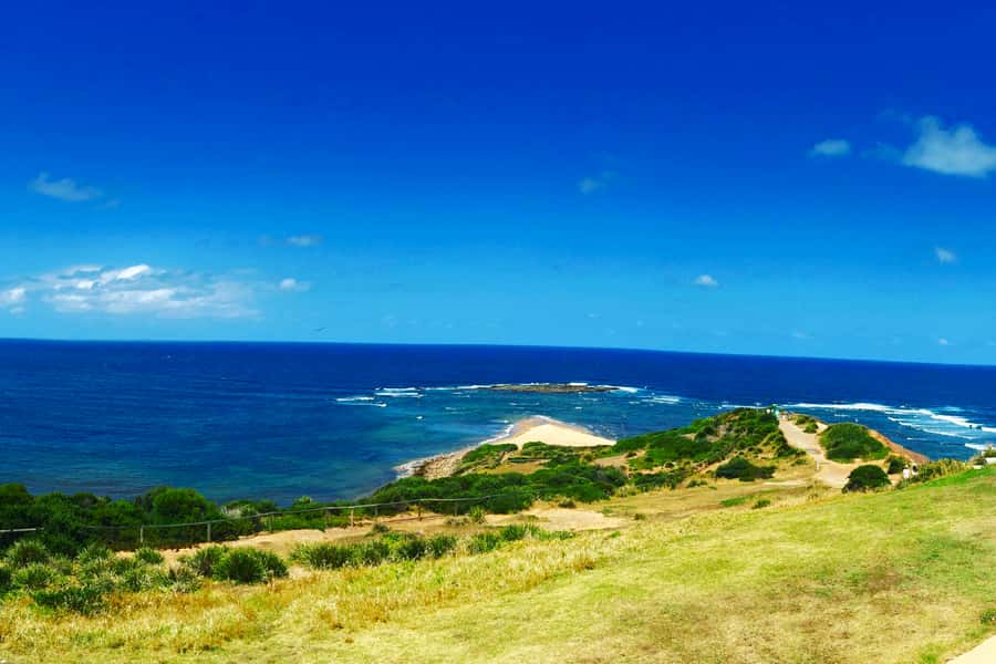 Sydney: Northern Beaches and Ku-ring-gai National Park Tour - Palm Beach and Summer Bay stops: more headlands, more chance for wildlife