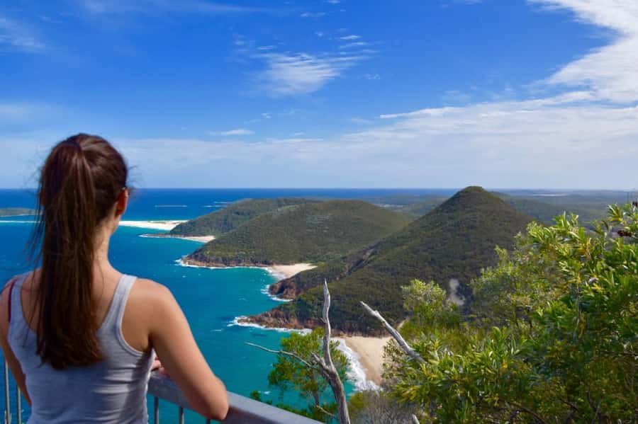 Sydney: Port Stephens Day Trip with Dolphin Cruise or Hike - Nelson Bay lunch and free time: reset by the harbour
