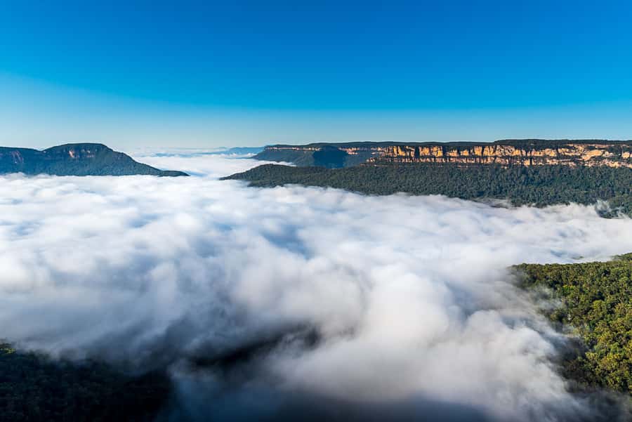 Sydney: Private Blue Mountains, Waterfalls, Walks & Meals - Key Things You’ll Notice on This Blue Mountains Day