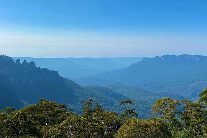 Sydney: PRIVATE Blue Mountains, Wildlife & Cruise Luxe Tour (10h) - Wildlife time: zoos, kangaroos, and the value of animal encounters