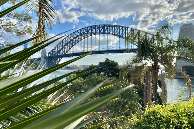 Sydney: PRIVATE City Highlights & Ocean Front Luxe Tour (4h) - The Gap lookout: cliffs, views, and a quick neighbourhood-to-coast shift