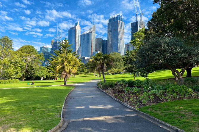 Sydney: PRIVATE City Highlights & Ocean Front Luxe Tour (4h) - Darling Harbour and Paddington: terrace charm to futuristic waterfront