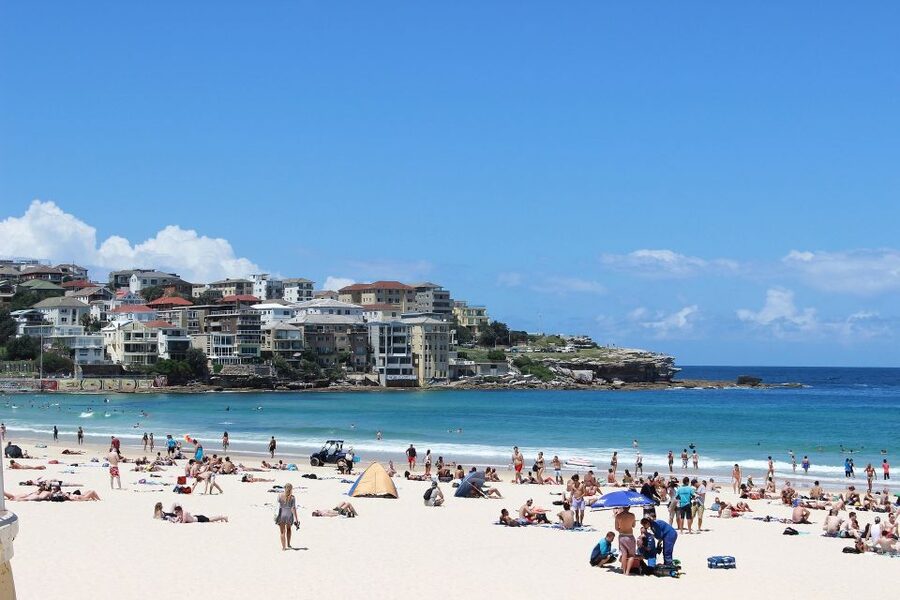 Sydney Private & Custom Walking Experience with a Local - Practicalities that matter: walking time, transfers, and comfort