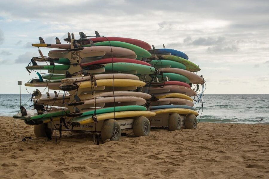 Sydney Private & Custom Walking Experience with a Local - Should you book this private Sydney walking experience?