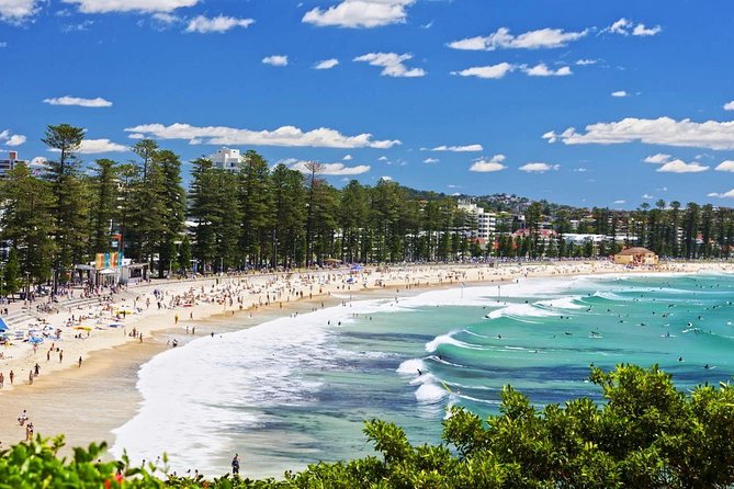 Sydney Private Day Tours | See Sydney in Style | 8 Hour Luxury Private Tour - A private 8-hour Sydney tour that actually respects your time