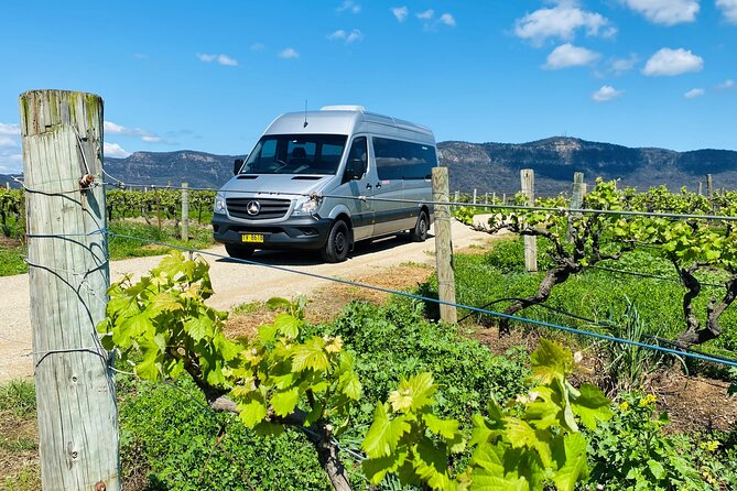 Sydney: PRIVATE Hunter Valley Wine Tasting Luxe Tour (10h) - Cheese pairing: the palate tool most people skip until it’s too late
