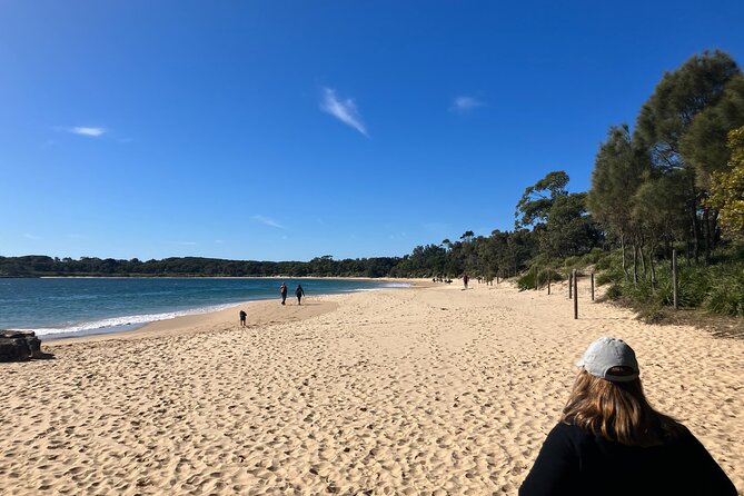 Sydney Private Tour Inc The Royal National Park and Symbio Zoo - Symbio Wildlife Park: Koalas, Kangaroos, and Animal Time