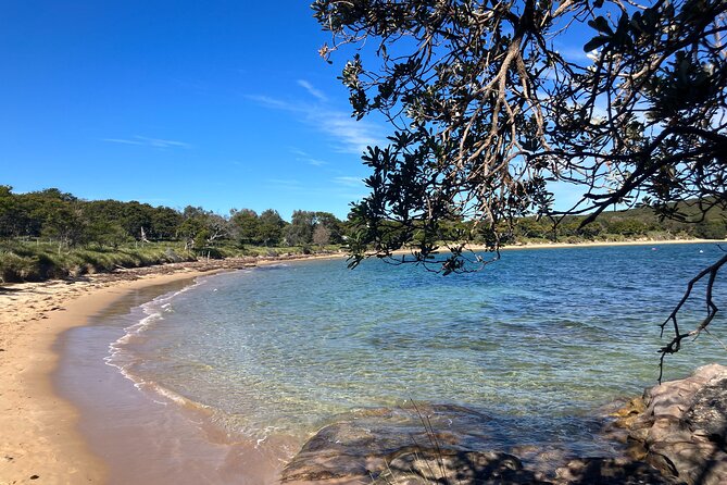 Sydney Private Tour Inc The Royal National Park and Symbio Zoo - Sea Cliff Bridge: A Short Walk for One Last Coast Photo