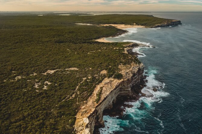 Sydney: Royal National Park Day Trip with Picnic and Swim - Key highlights