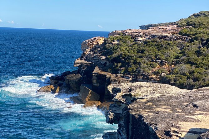 Sydney: Royal National Park Day Trip with Picnic and Swim - Price and value: what $251.04 buys you