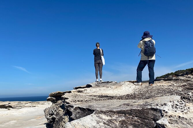 Sydney: Royal National Park Day Trip with Picnic and Swim - Timing, transport, and the 9:00 am start