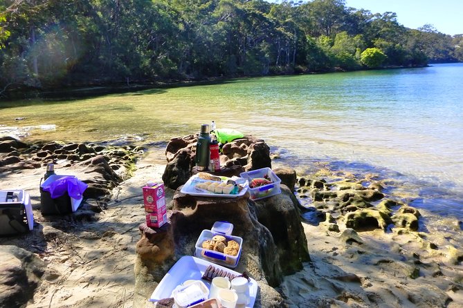Sydney's Middle Harbour Sea Kayaking Eco Tour (Fully Guided) - Why Middle Harbour Kayaking Feels Like a Nature Escape (Without Leaving Sydney)