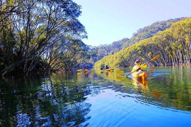 Sydney's Middle Harbour Sea Kayaking Eco Tour (Fully Guided) - Garigal National Park on the Water: What the Scenery Shift Gives You
