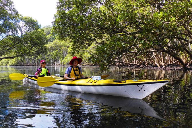 Sydney's Middle Harbour Sea Kayaking Eco Tour (Fully Guided) - Wildlife Spotting Without the Guesswork