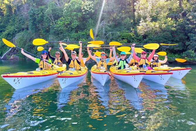 Sydney's Middle Harbour Sea Kayaking Eco Tour (Fully Guided) - Small-Group Service: Why It Feels More Like a Guided Outing