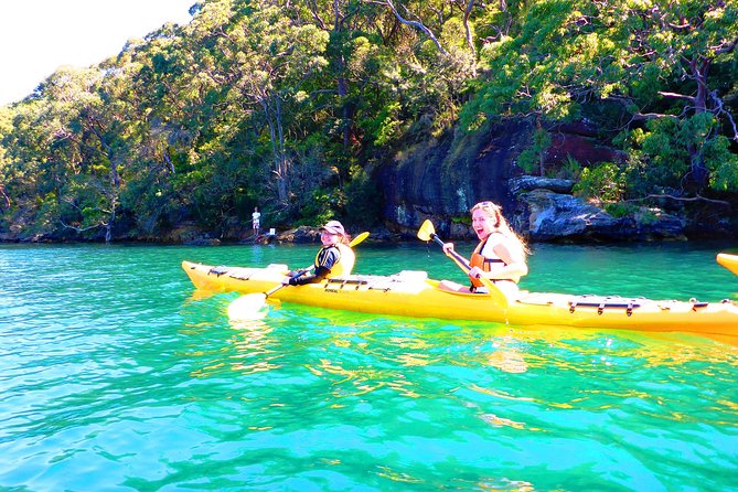 Sydney's Middle Harbour Sea Kayaking Eco Tour (Fully Guided) - Paddle Time vs. Viewing Time: A Pace That Doesn’t Burn You Out