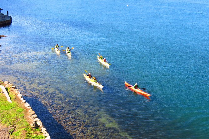 Sydney's Middle Harbour Sea Kayaking Eco Tour (Fully Guided) - The 8:30am Mosman Start: Easy Access, No Hotel Pickup